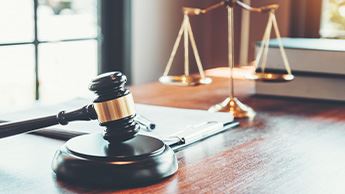 Types of Torts + Case Examples