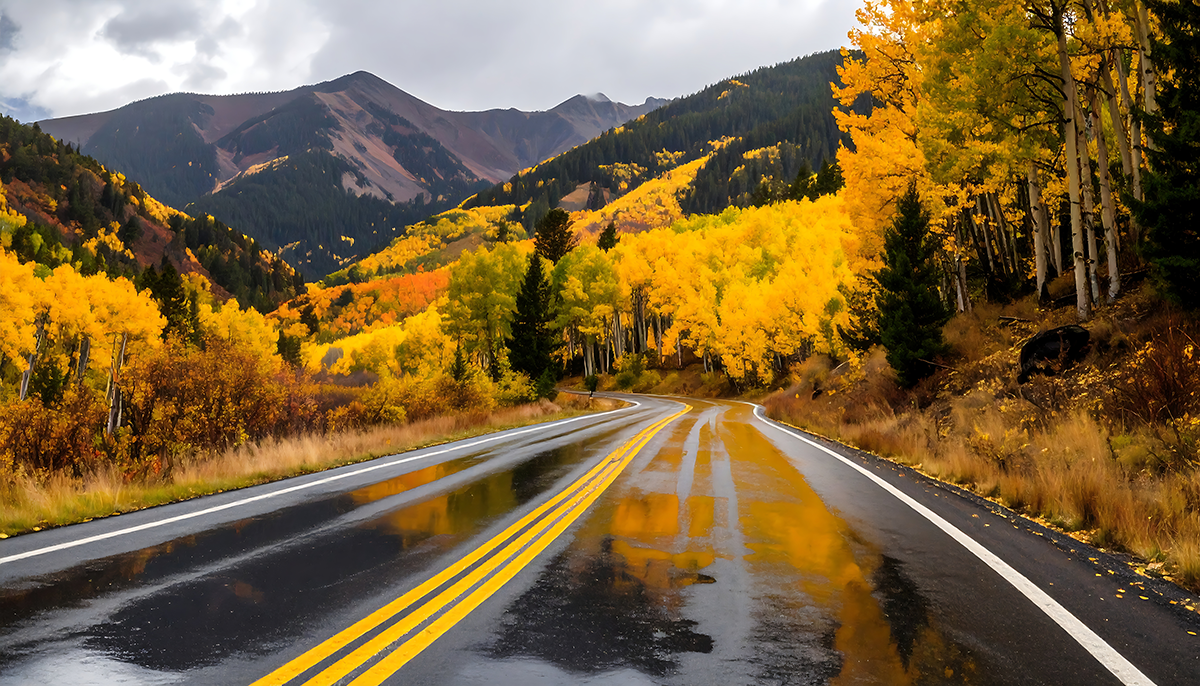 Slip, Slide, & Crash: Liability When Wet Leaves or Dark Shadows Cause an Accident in Western Colorado