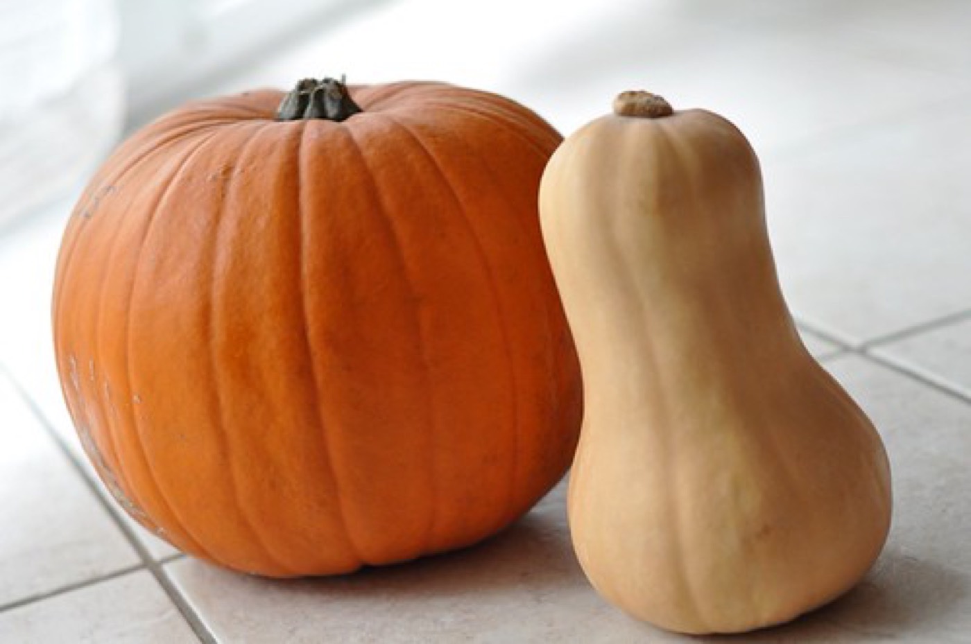 Downtown Grand Junction Trick or Treat Spooktacular